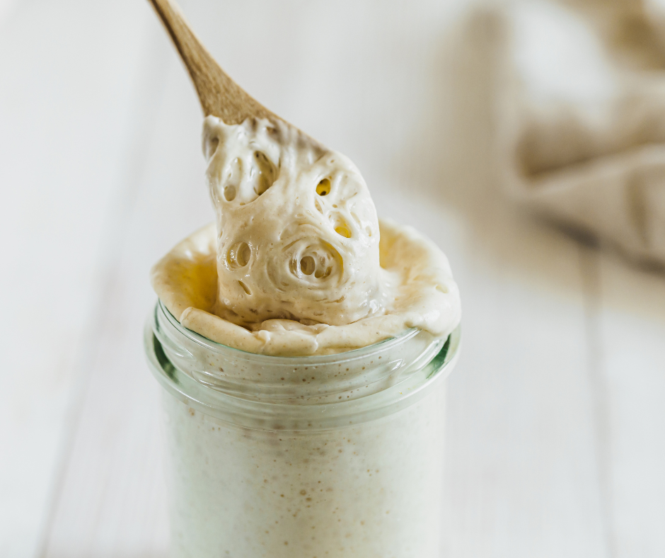 Sourdough Starter