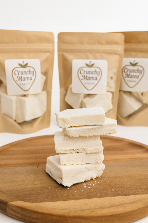 Chocolate Chip Cookie Dough Ice Cream Bites