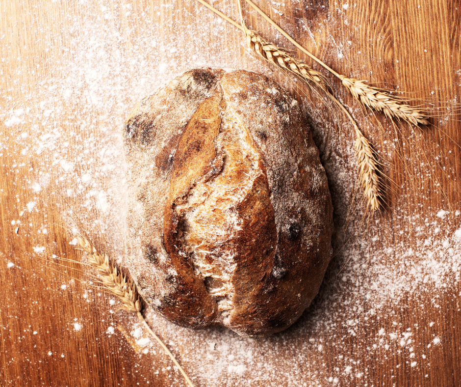 Sourdough Starter